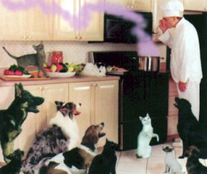 recipe_chef01